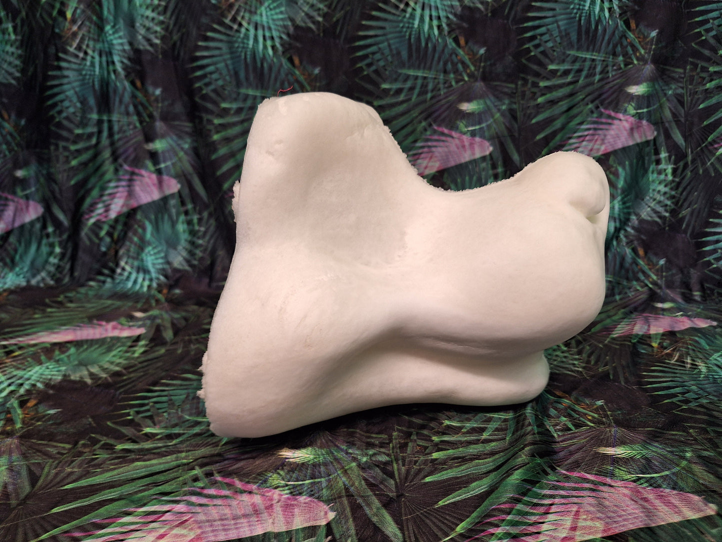 Foam Canine Base