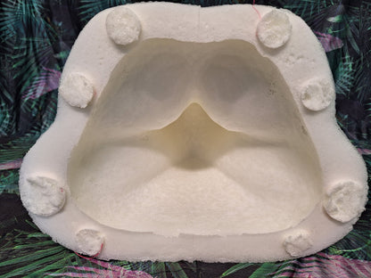 Foam Canine Base