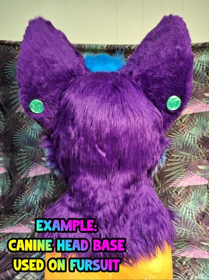 Foam Canine Base